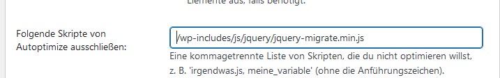 autoptimize Einstellung bei Fehlermeldung